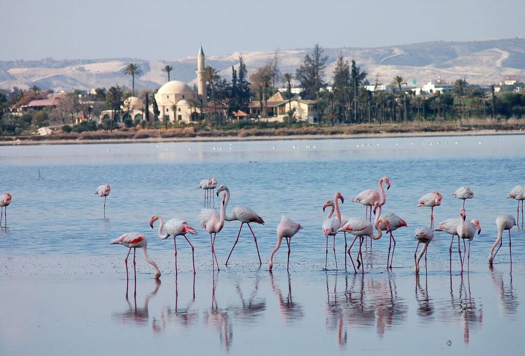 Hala Sultan 2